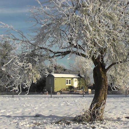 The Abberton Shepherds Hut Evesham Zewnętrze zdjęcie